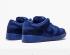 Мужские туфли Nike Dunk SB Low Premium Deep Blue Moon 313170-444