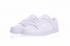 мъжки обувки Nike Dunk SB Low White Lce 304292