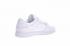 чоловіче взуття Nike Dunk SB Low White Lce 304292