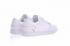 Мужские туфли Nike Dunk SB Low White Lce 304292