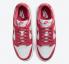 sepatu Nike SB Dunk Low Archeo Pink White DD1503-111