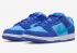 Nike SB Dunk Low 藍色 Raspberry Racer 藍色大學藍白色 DM0807-400