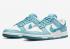 Nike SB Dunk Low Essential Paisley Pack Worn Blauw Wit DH4401-101