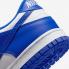 Nike SB Dunk Low GS Racer Blauw Wit DV7067-400