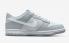 Nike SB Dunk Low GS tweekleurig grijs, puur platinawit DH9765-001