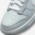 Nike SB Dunk Low GS Two Toned Grey Pure Platinum White DH9765-001