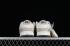 Nike SB Dunk Low GUCCI Off White Grey CF3688-003