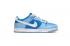 Nike SB Dunk Low PS Argon Flash 白色 Argon Blue DV2635-400