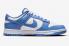 Nike SB Dunk Low Polar Blau Weiß DV0833-400
