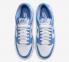 Nike SB Dunk Low Polar Bleu Blanc DV0833-400