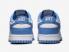 Nike SB Dunk Low Polar Azul Blanco DV0833-400
