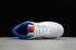 Кроссовки Nike SB Dunk Low Pro White Royal Blue Red 304292-103