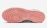 sepatu Nike SB Dunk Low Snakeskin White Teal Pink DR8577-300