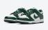 běžecké boty Nike SB Dunk Low GS Spartan Green White CW1590-102