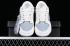 Nike SB Dunk Low The North Face Off-White Grau Silber XD1688-005