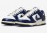 Nike SB Dunk Low Vintage Navy White Midnight Navy Santan FN7197-100