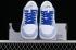 Nike SB Dunk Low Blanc Bleu Gris FD2562-300