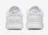 Nike SB Dunk Low Blanc Paisley Gris Fog Chaussures DJ9955-100