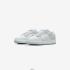 Nike Wmns Dunk Low HJ5787-001
