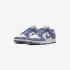 Nike Wmns Dunk Low IB4417-103
