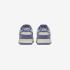 Nike Wmns Dunk Low IB4417-103