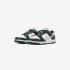 Nike Wmns Dunk Low IO7450-364