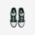 Nike Wmns Dunk Low IO7450-364