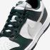 Nike Wmns Dunk Low IO7450-364