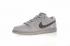 Reigning Champ x Nike Dunk Low Pro SB Gray Brown 854866-169