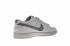 Reigning Champ x Nike SB Zoom Dunk Low Pro QS Cinza Escuro AH9166-169