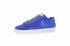 Nike Zoom Blazer SB Low GT Branco Azul Masculino Sapatos 704939-118