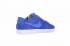 Nike Zoom Blazer SB Low GT Wit Blauw Herenschoenen 704939-118