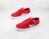 Sepatu Nike SB Chron Solorsoft Gym Merah Putih CD6278-600