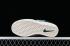 Nike SB Force 58 Ash Green Sail White CZ2959-005