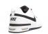Nike Sb Zoom Air Paul Rodriguez Low Prod Light Zen Grey Black White True 310802-100