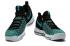 Мужские баскетбольные кроссовки Nike KD 9 Kevin Durant BIRDS OF PARADISE Black Jade 843392-300