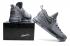 Nike Zoom KD 9 EP IX Battle Grey Kevin Durant Hombres Zapatos de baloncesto 844382-002