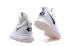Nike Zoom KD 9 EP IX Kevin Durant Chaussures de basket-ball pour hommes Blanc pur Noir 843392