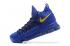 Nike Zoom KD IX 9 EP blå gul Herre basketballsko