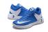 Мужские баскетбольные кроссовки Nike Zoom KD Trey 5 IV Blue White Wave Point 844571