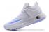 Nike Zoom KD Trey 5 IV weiß-blaue Herren-Basketballschuhe EM