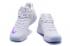 Giày bóng rổ nam Nike Zoom KD Trey 5 IV trắng xanh EM
