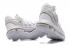 Nike Zoom KD10 Blanc Chrome Platinum Chaussures de basket-ball pour hommes 897815-100