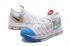 Nike Zoom KD X 10 Pánské basketbalové boty světle šedá modrá bílá