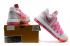 Мужские баскетбольные кроссовки Nike Zoom KD X 10 светло-серые розовые