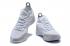 Nike Zoom KD 11 Biały Szary Srebrno Szary AO2605-107
