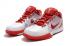 2020 Nike Zoom Kobe IV 4 Ace Lower Merion White Red Bryant Basketball Shoes 344335-161