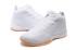 Nike Zoom Kobe Icon Jacquard Men Casual Shoes Pure White 818583