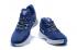 Баскетбольные кроссовки Nike Kobe Mamba Fury Royal Blue Kobe Bryant 2020 CK2087-401