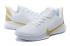la nuova versione Nike Kobe Mamba Fury bianco metallizzato oro Kobe Bryant scarpe da basket CK2087-107